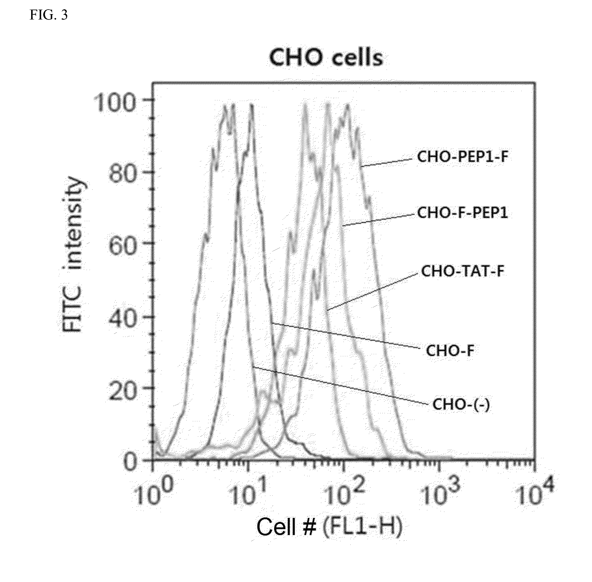 Cell-Penetrating Peptide, Conjugate Comprising Same and Composition Comprising Same