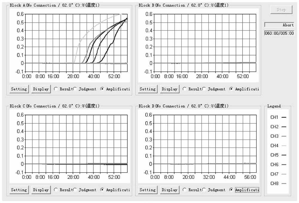 LAMP (loop-mediated isothermal amplification) primer group and detection method for rapidly detecting strawberry aphelenchus destructor