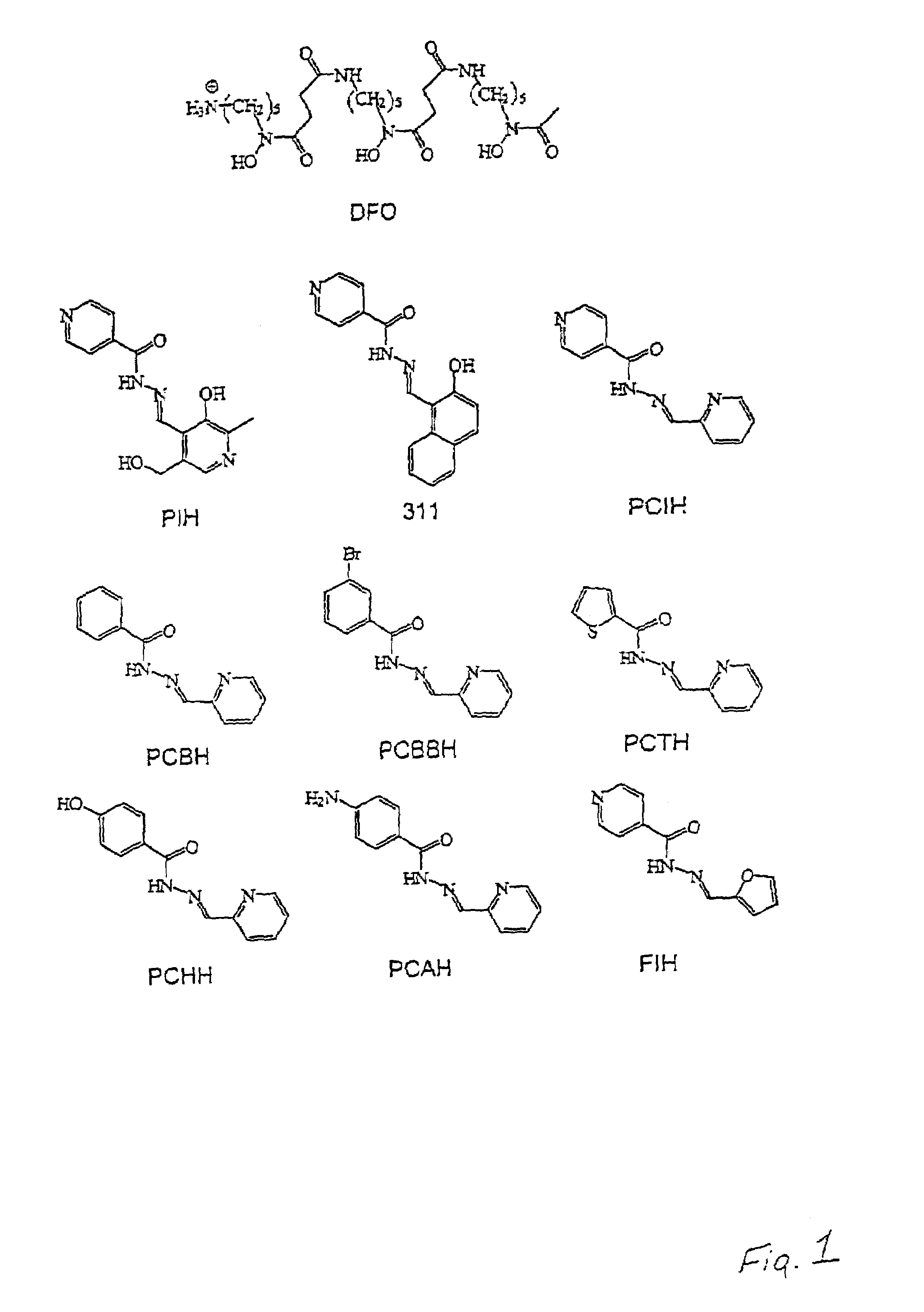 Iron chelators and uses thereof