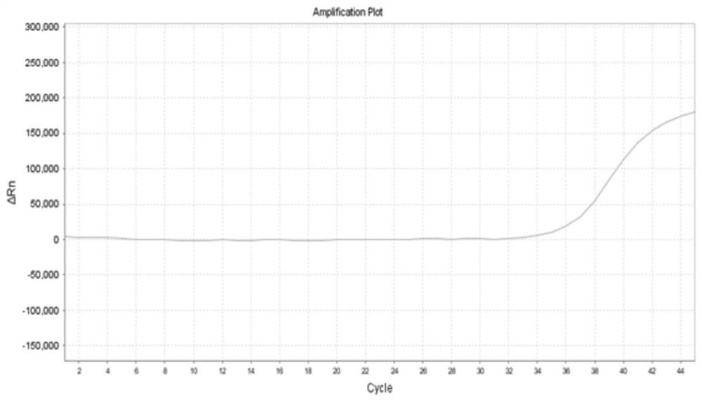 Kit and extraction method for rapidly and conveniently extracting viral DNA from body fluid