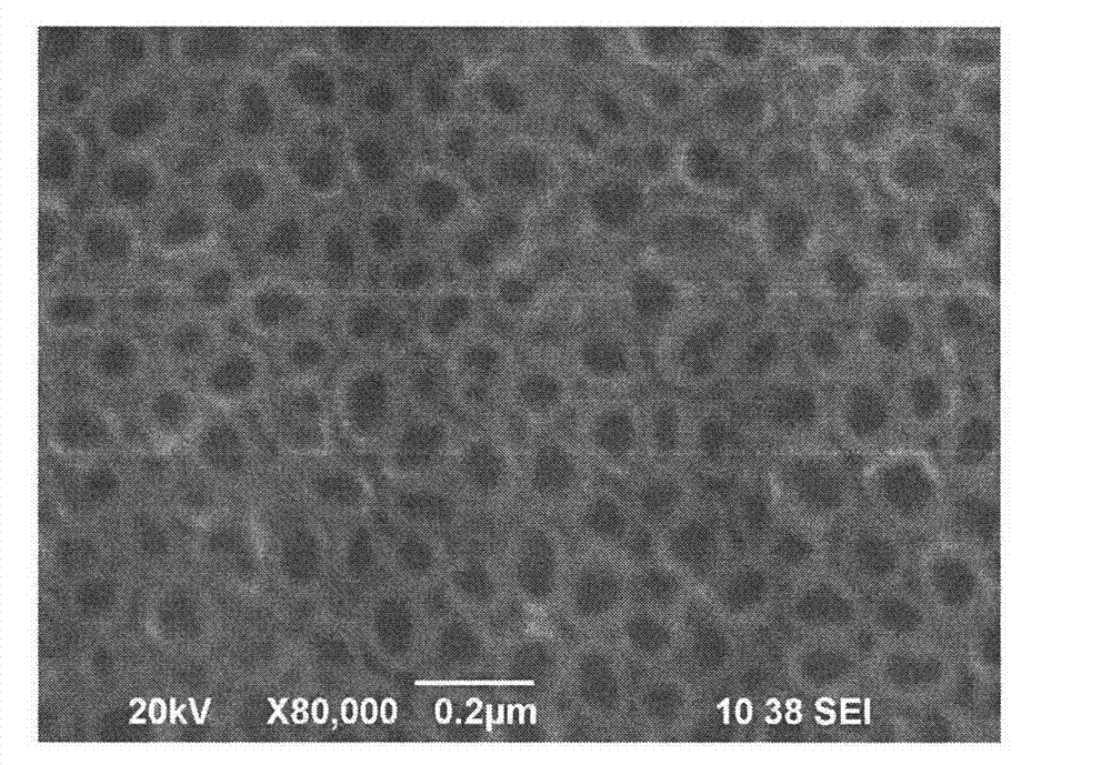 Method for surface modification of dental implant