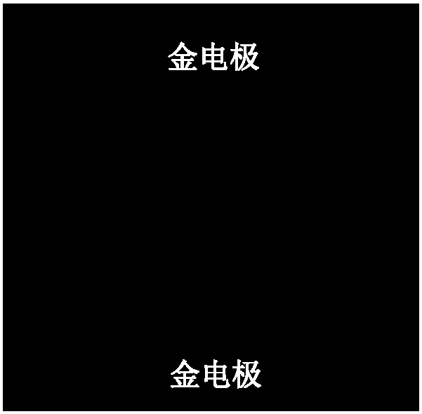 Preparation method of deposited cspbbr3 nanosheet thin film photodetector