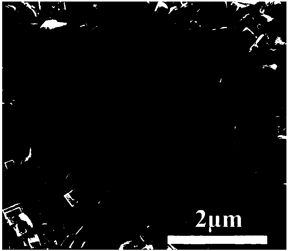 Preparation method of deposited cspbbr3 nanosheet thin film photodetector