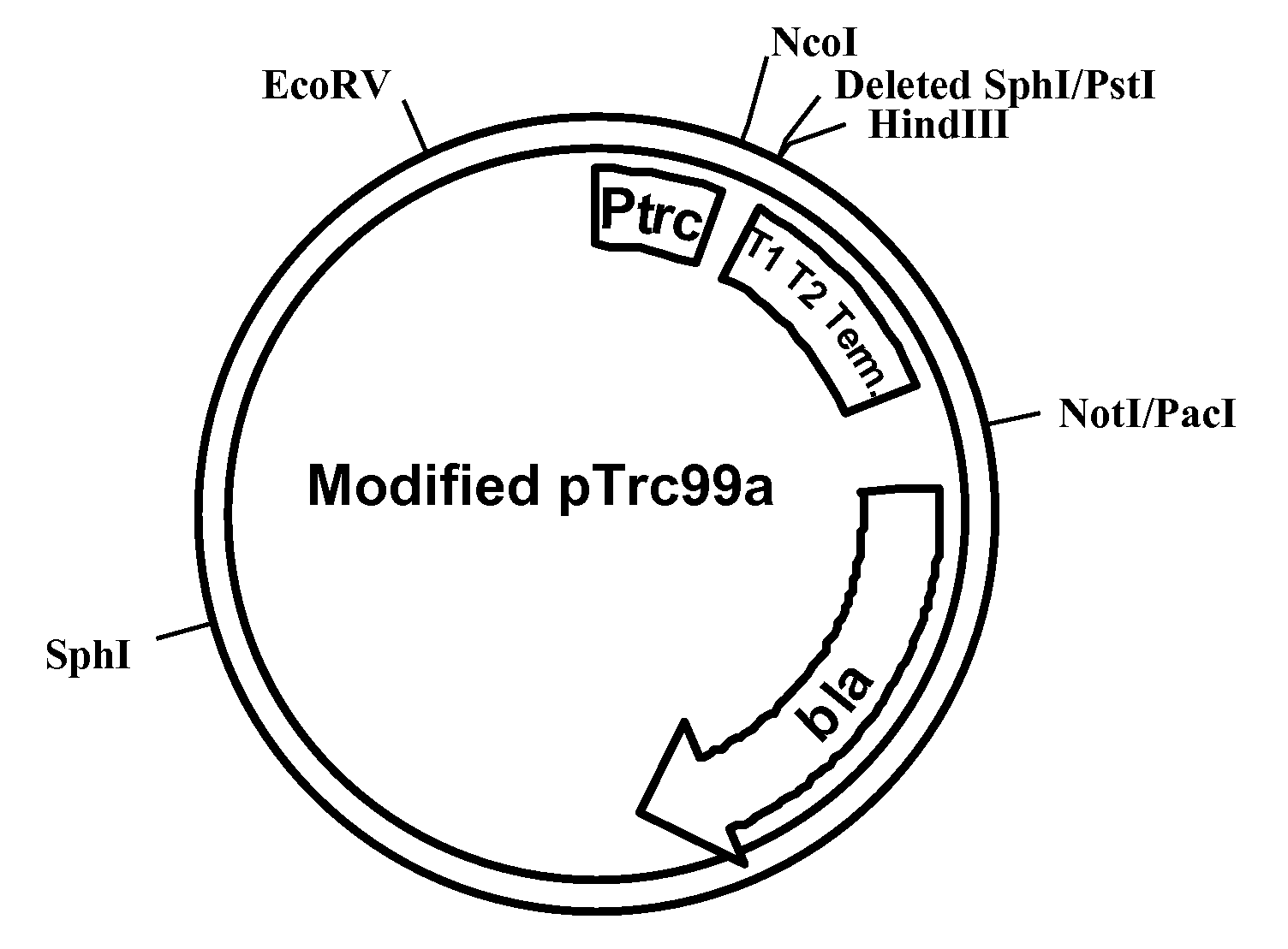 Live bacterial vaccines for viral infection prophylaxis or treatment