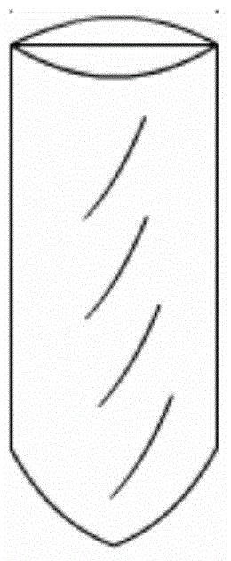 Disposable biopsy collector and sampling device