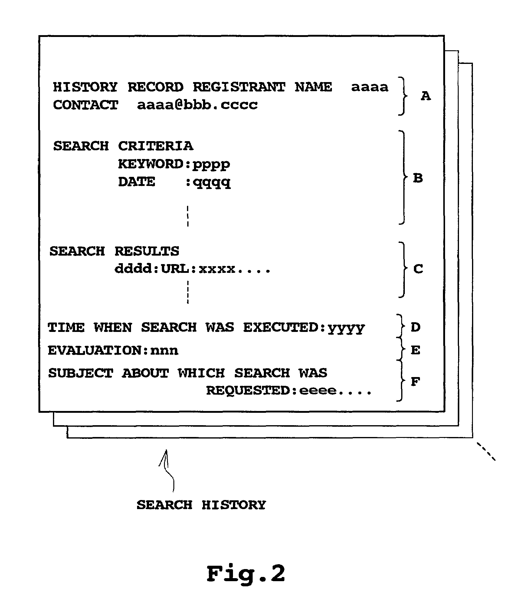 Content/information search system