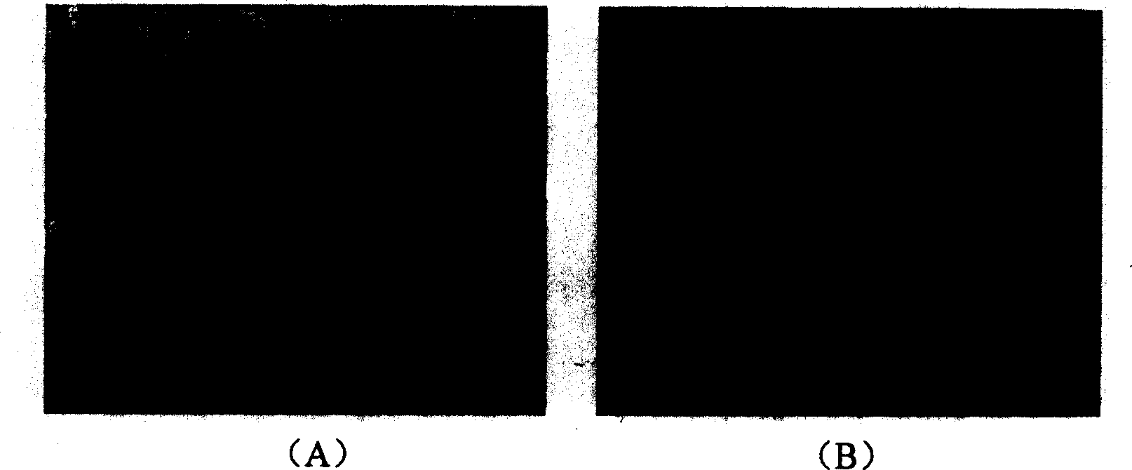 Prepn process of superfine xonotlite fiber