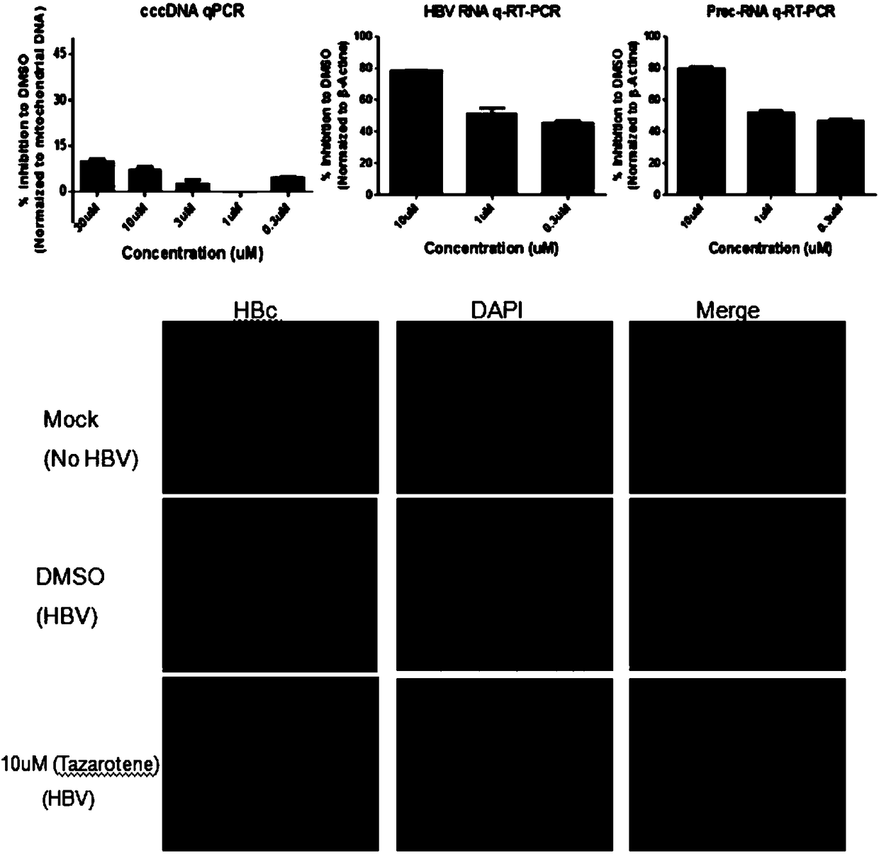 Application of tazarotene to preparation of drugs used for treating hepatitis B virus infection