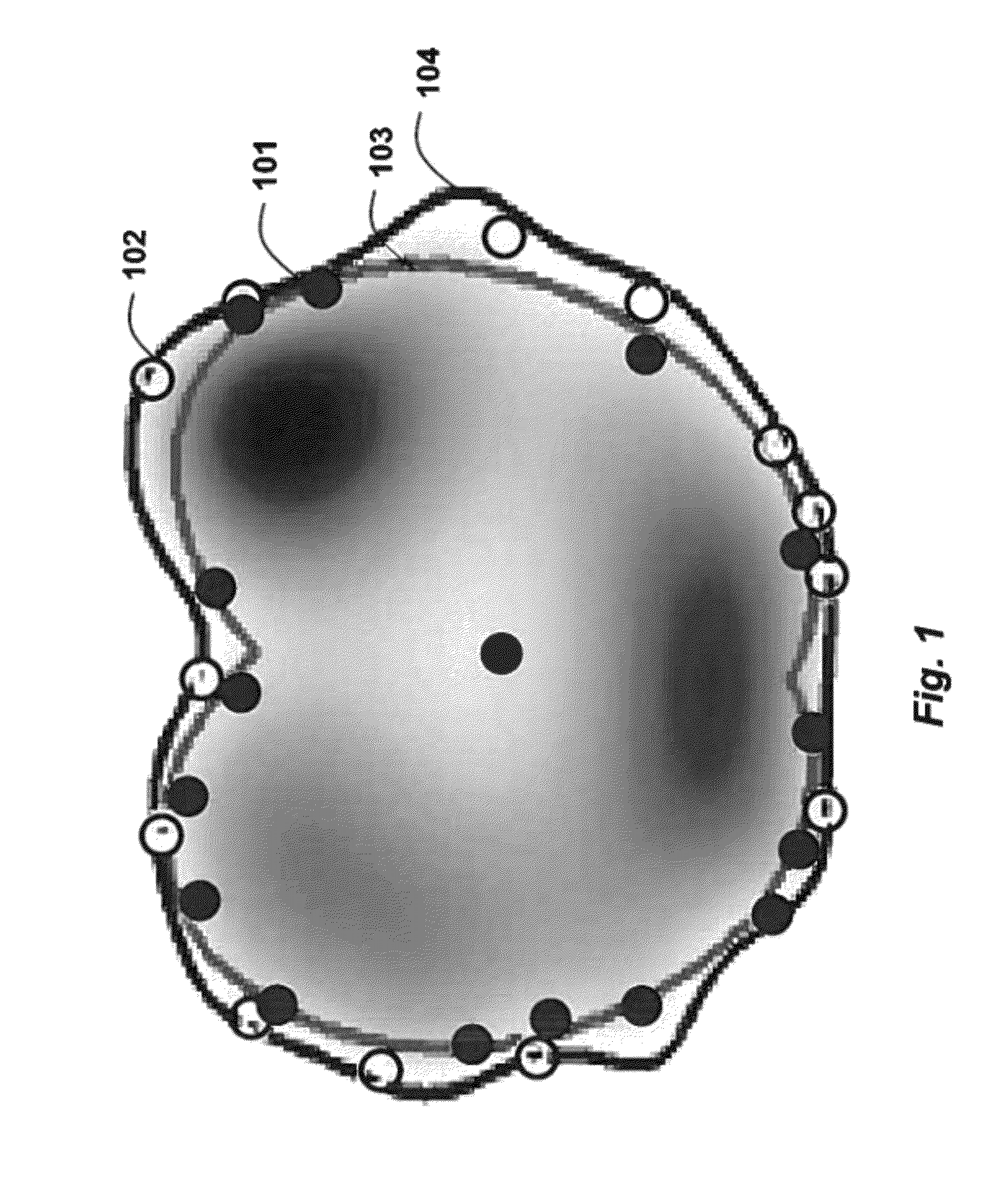 Representing object shapes using radial basis function support vector machine classification