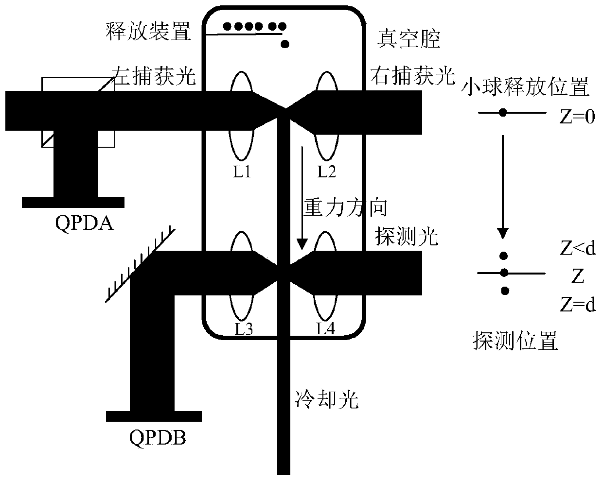 Light force cooling miniaturized high-precision optical gravity meter