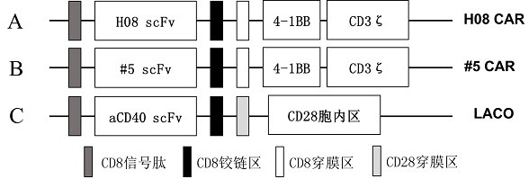 Anti-GD2 antibody, CAR containing same, CAR combination and application thereof