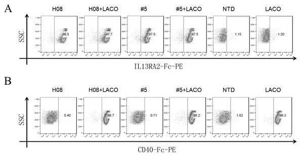 Anti-GD2 antibody, CAR containing same, CAR combination and application thereof