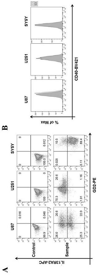 Anti-GD2 antibody, CAR containing same, CAR combination and application thereof