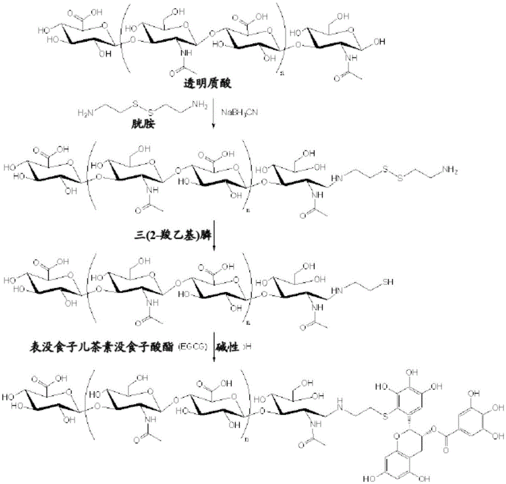 Polymer-flavonoid conjugates and hydrogels for biomedical applications