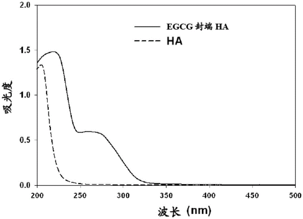 Polymer-flavonoid conjugates and hydrogels for biomedical applications