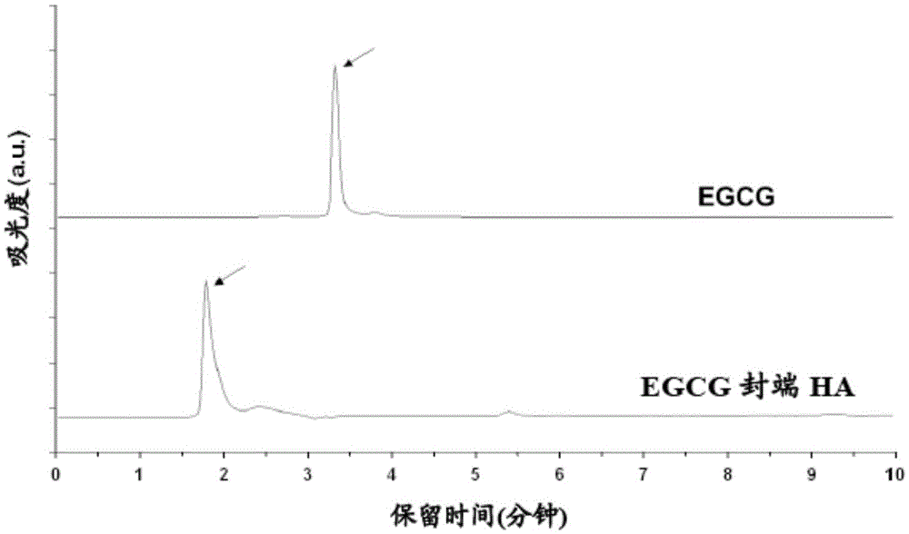 Polymer-flavonoid conjugates and hydrogels for biomedical applications