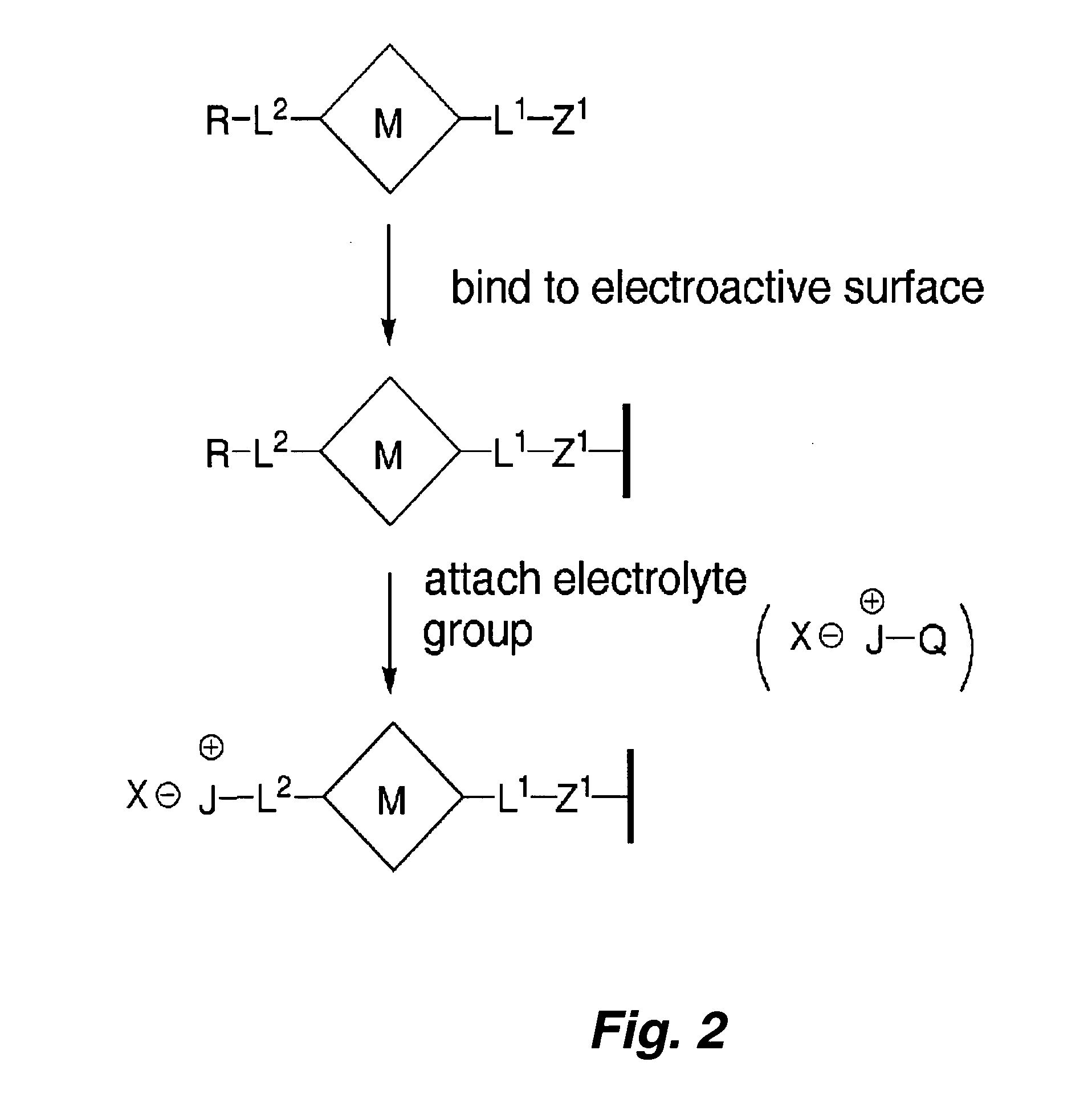 Situ patterning of electrolyte for molecular information storage devices