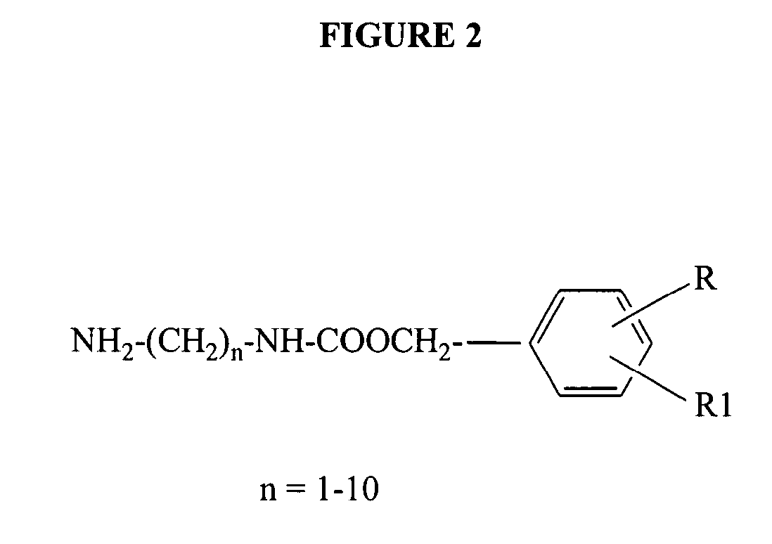 Dendrimer based compositions and methods of using the same