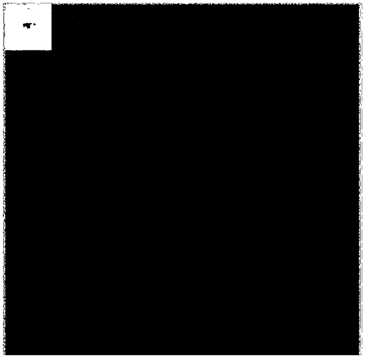 A Classification Method of Iris Image Quality Based on bp Network and Wavelet Transform