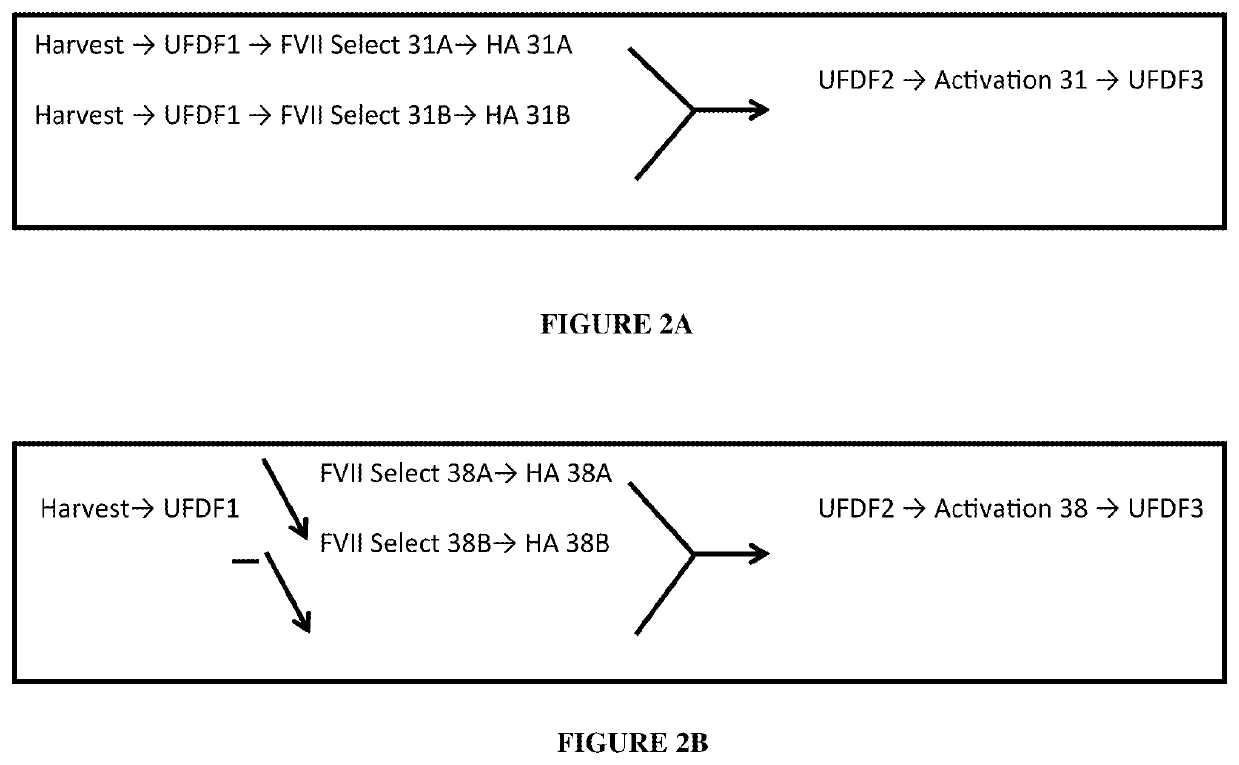 Long-acting coagulation factors and methods of producing same