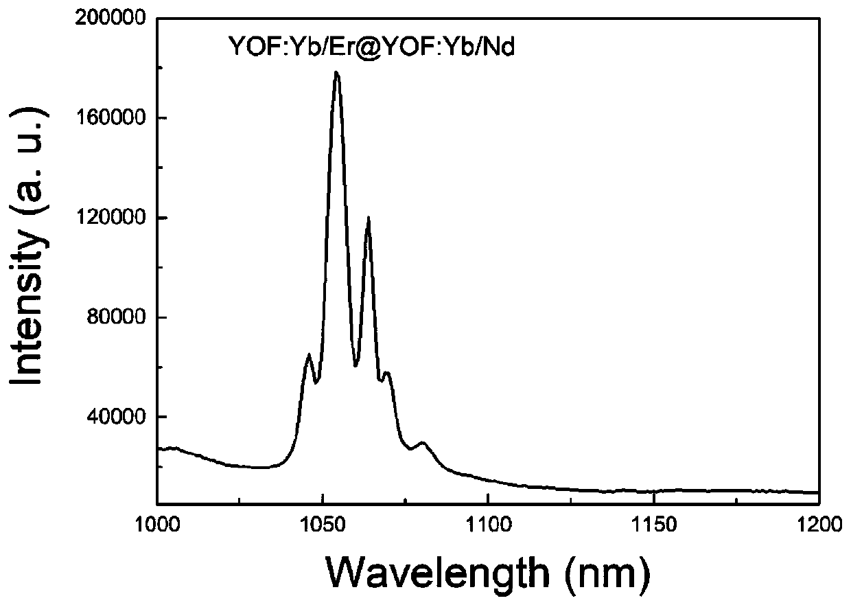 Rare earth probe capable of carrying out target recognition of lung squamous cell carcinoma, and preparation method and application thereof