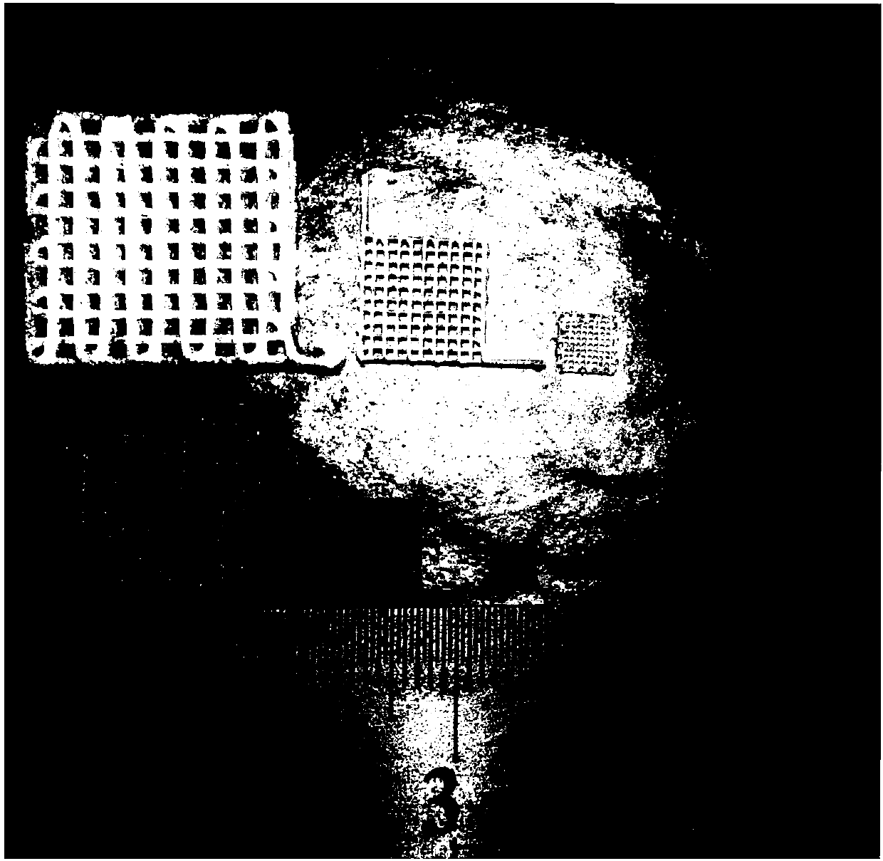 Direct-writing forming method of precursor conversion ceramic