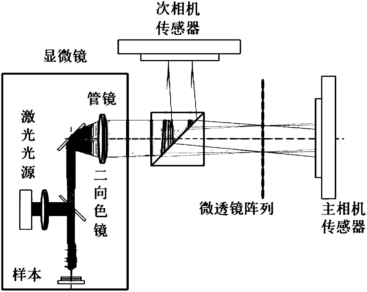 Three-dimensional microscopic imaging method and system based on a light field microscopic system