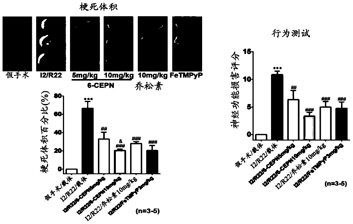 Polyphenol derivative compound 6-CEPN as therapeutic agent for acute ischemic stroke