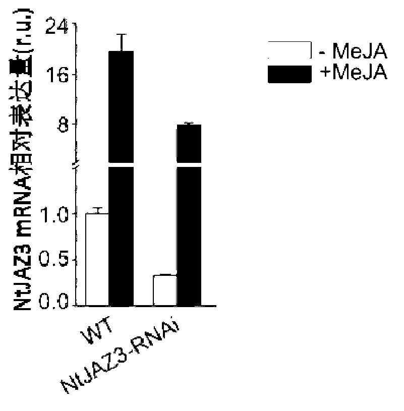 Gene capable of reducing nicotine content of tobacco and application thereof