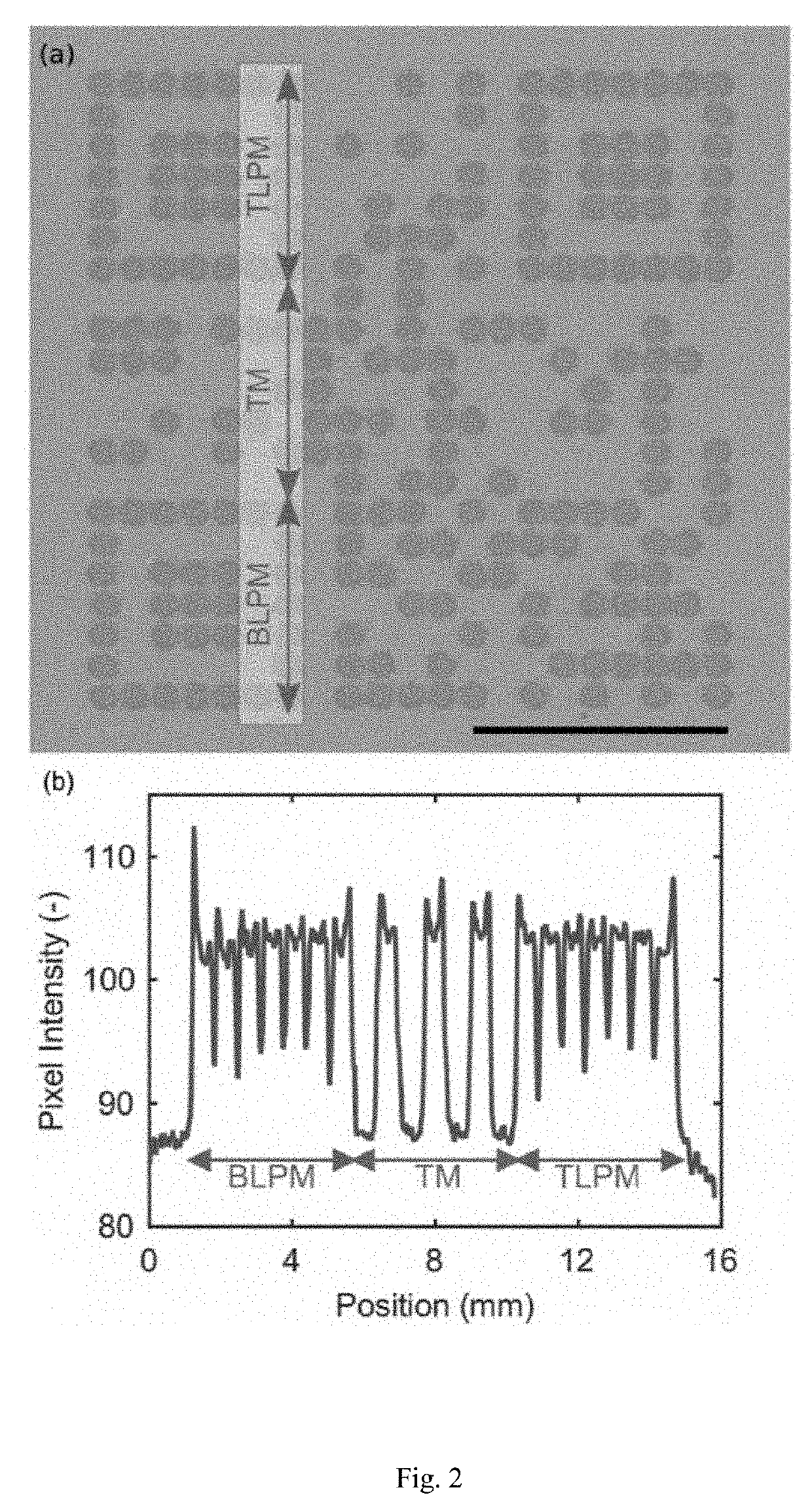 Secure machine readable code-embedded diagnostic test