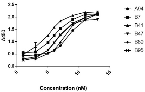 Anti-CEACAM5 nanometer antibody