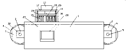 Apple core-removing device