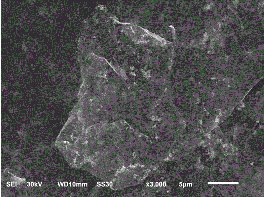 Method for preparing graphene/silver/titanium dioxide composite material