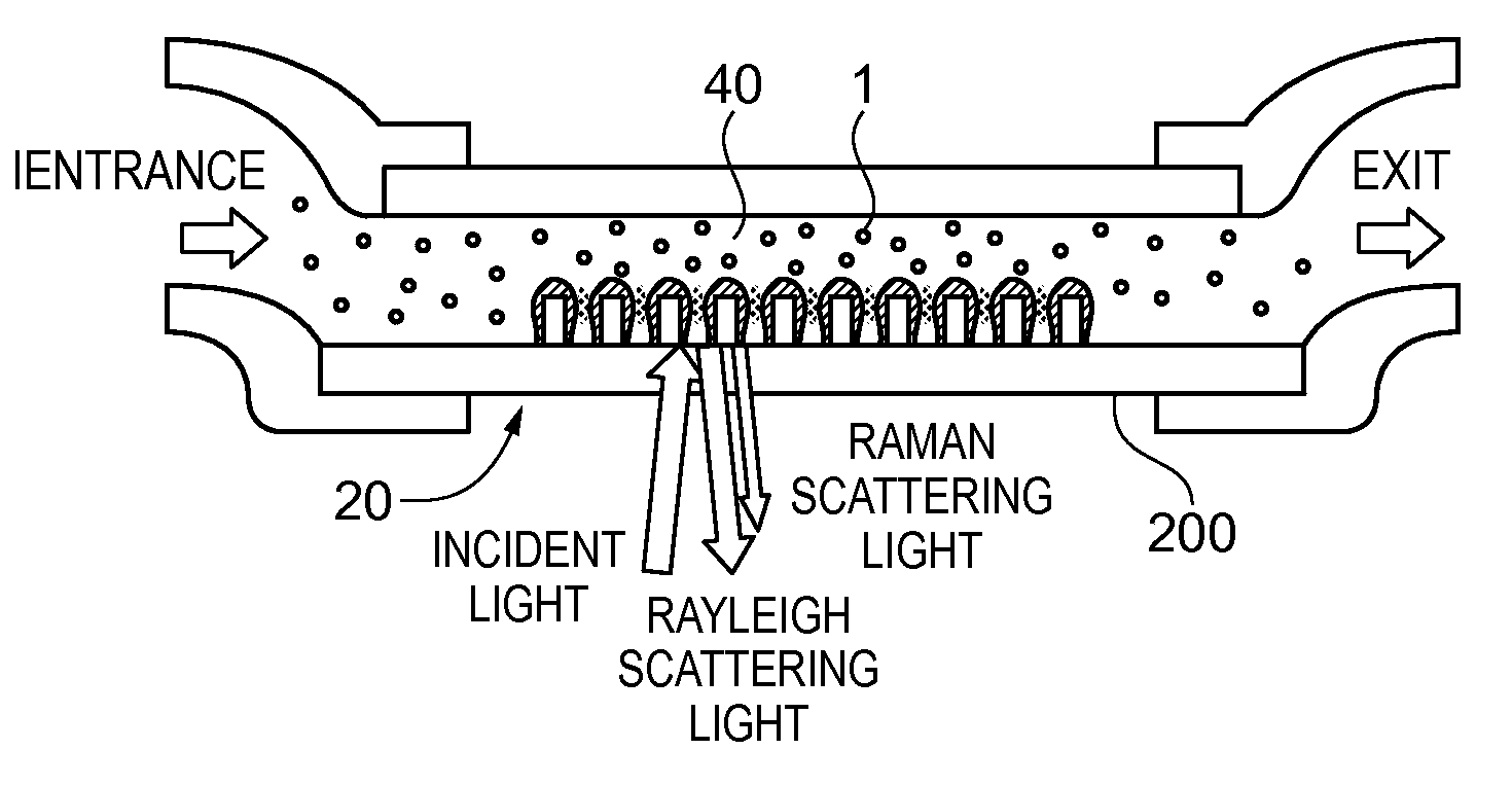 Detection device