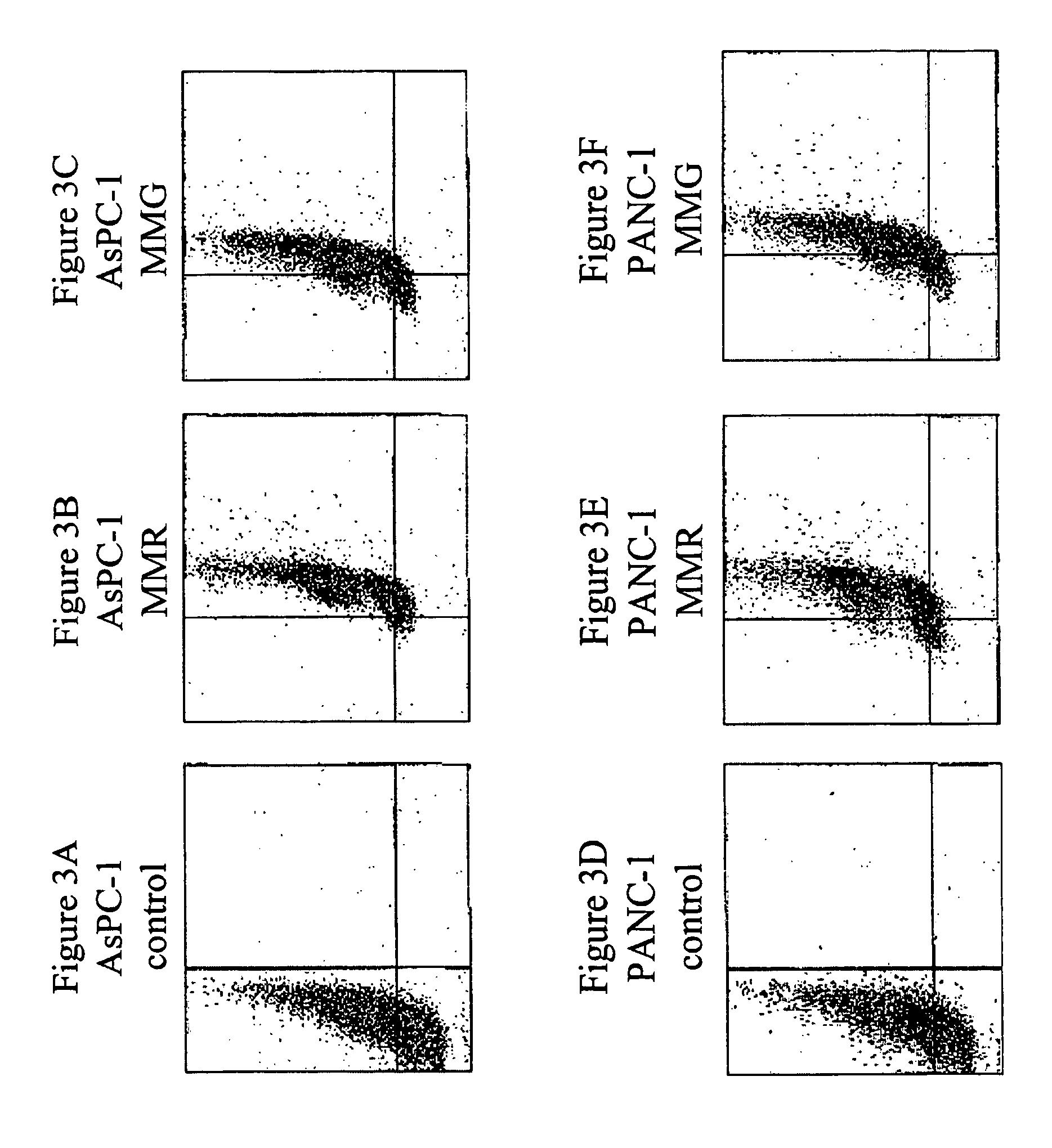 Compositions derived from Modiolus modiolus and methods for making and using same