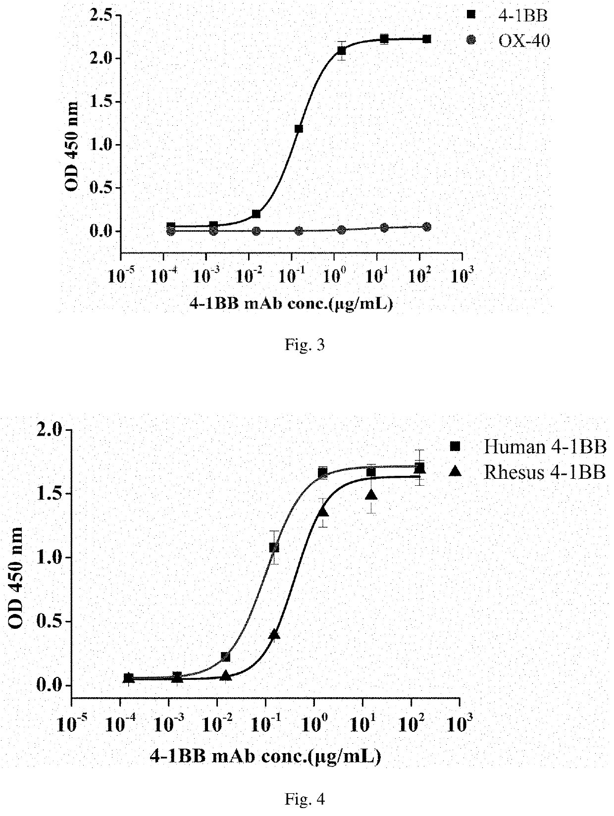 Agonistic 4-1bb monoclonal antibody