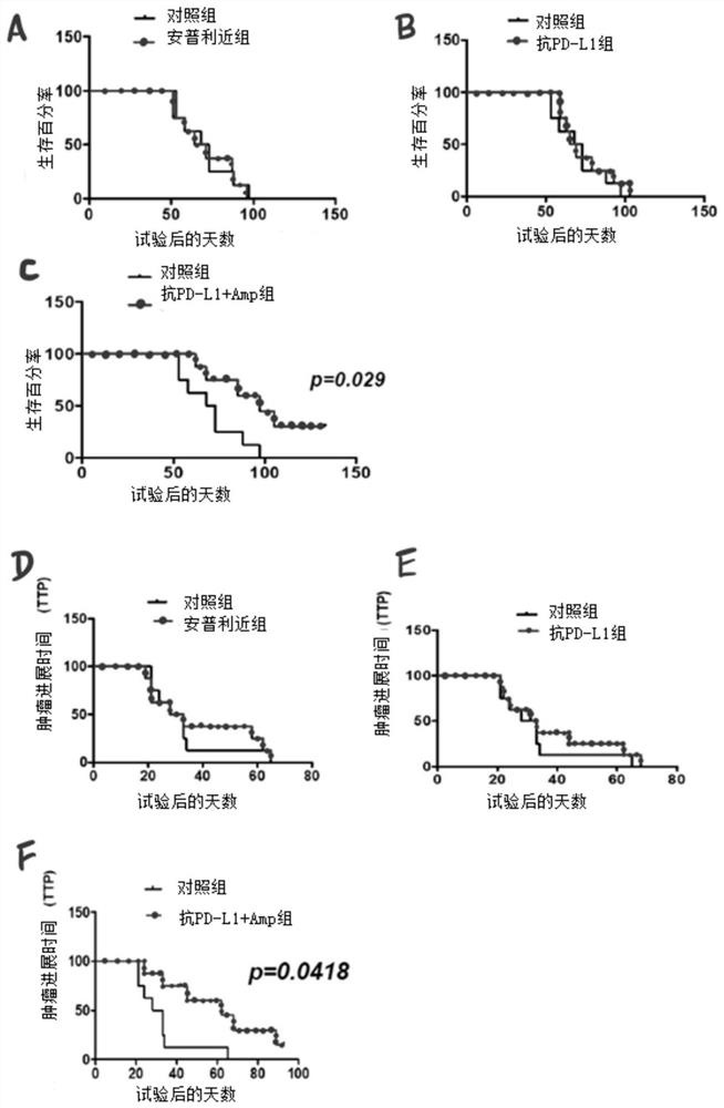 Compositions and methods for cancer therapy