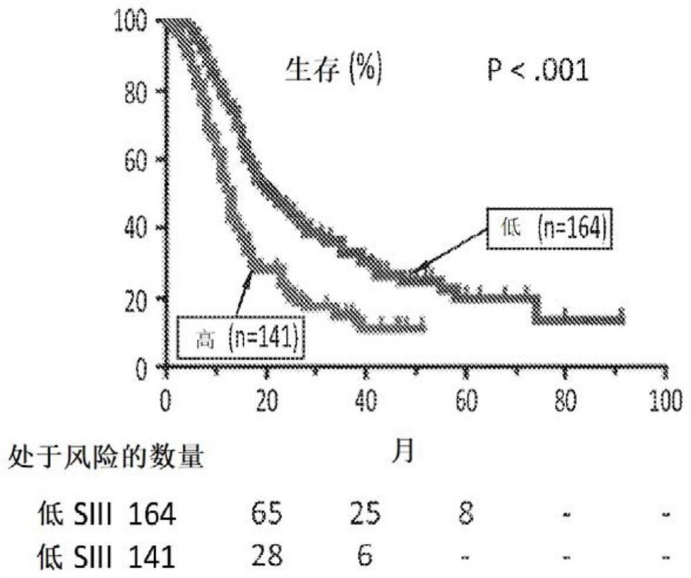 Compositions and methods for cancer therapy