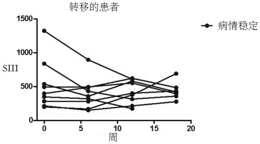 Compositions and methods for cancer therapy