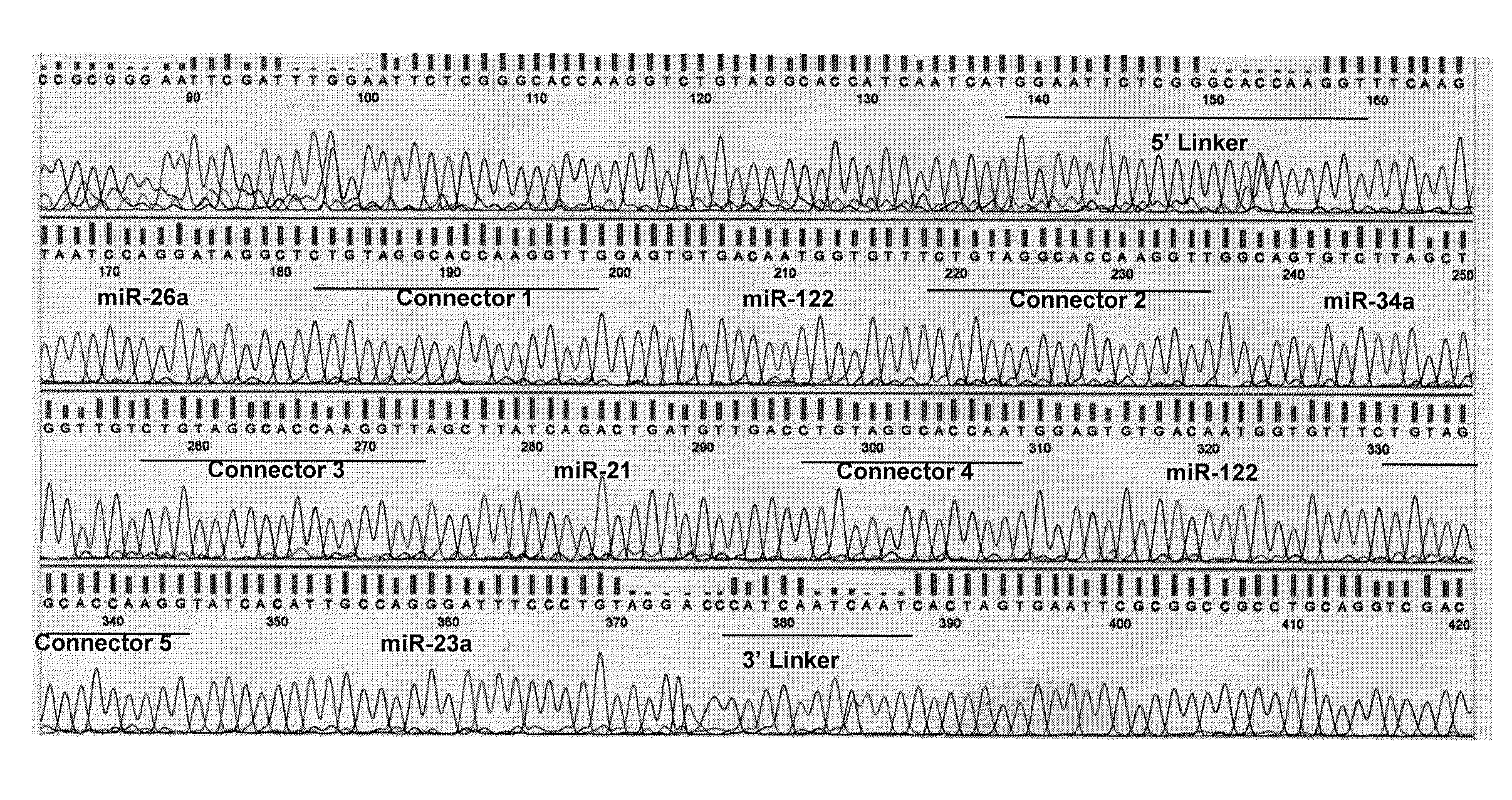 Methods for cloning small RNA species