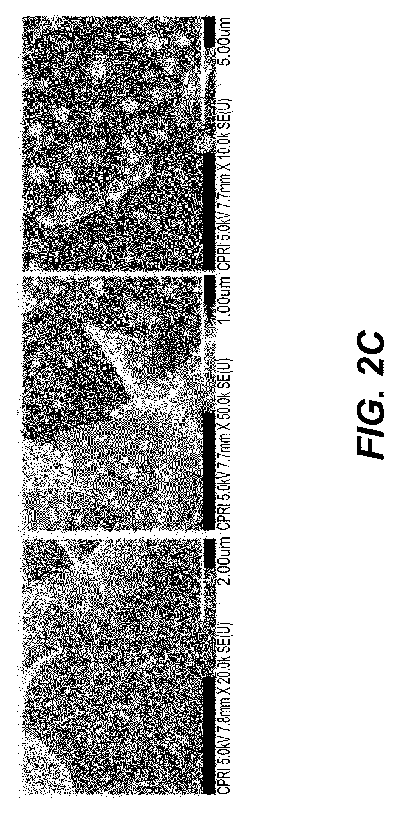 Graphene-nano particle composite having nanoparticles crystallized therein at a high density