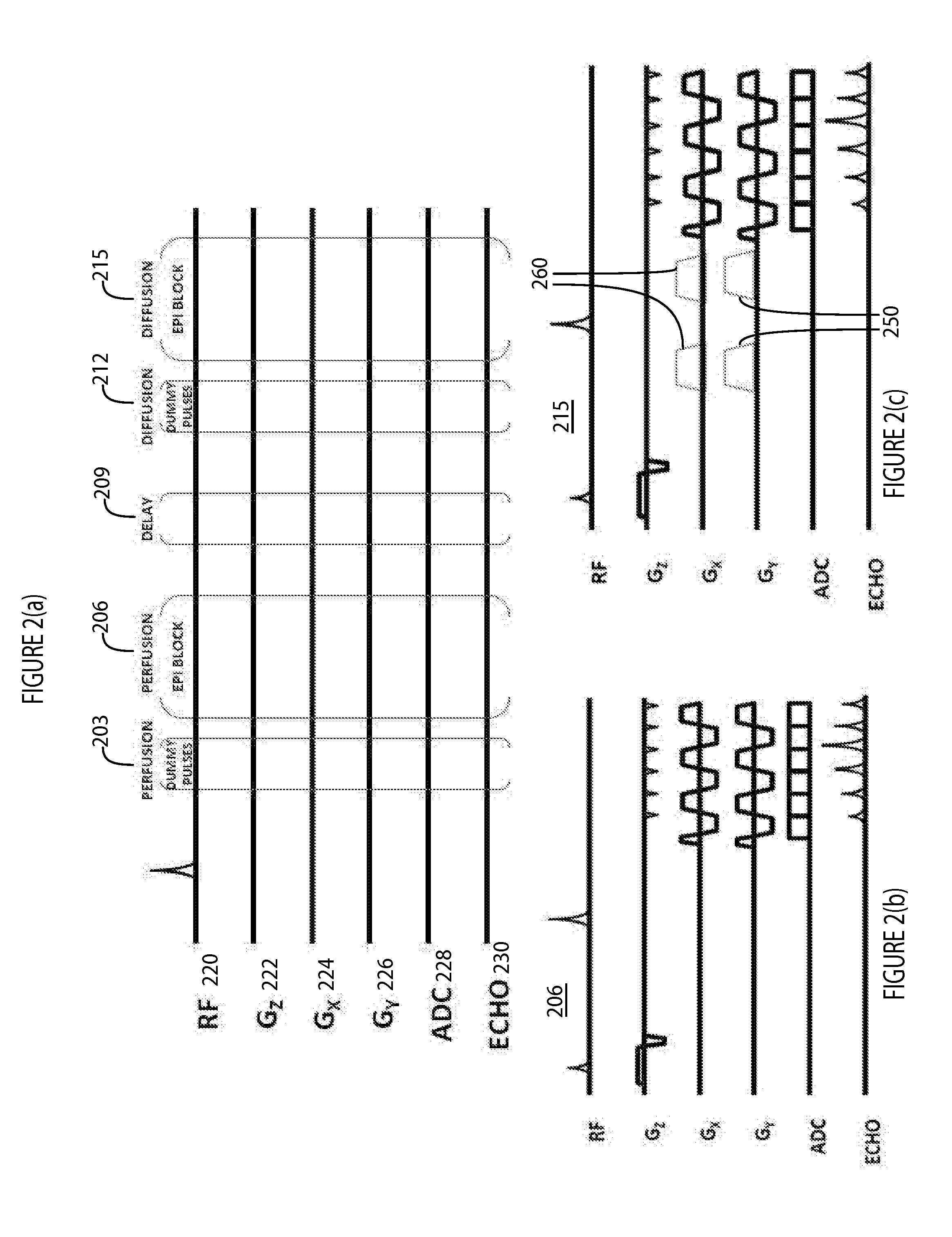 System for Perfusion and Diffusion MR Imaging