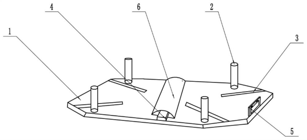 A dissecting table for an animal model