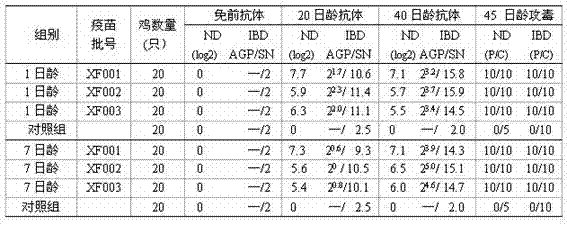 Preparation method for newcastle disease and infectious bursal disease bigeminal composite inactivated vaccine