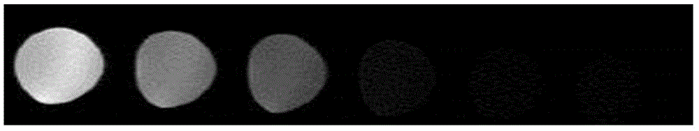 Nanometer graphene oxide-based magnetic resonance imaging contrast agent and preparation method thereof