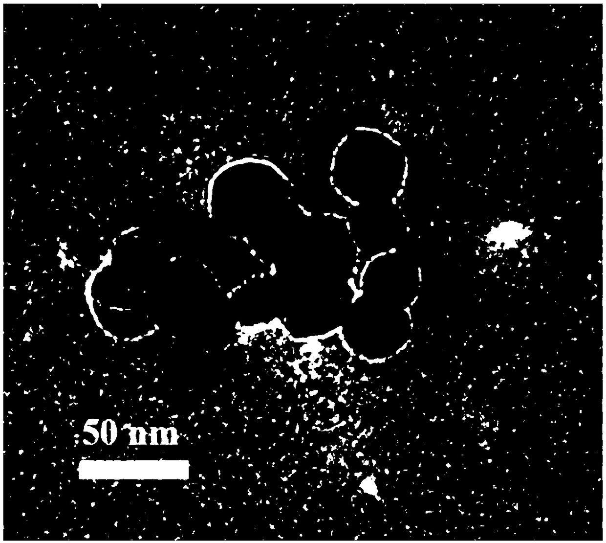 Carbon dioxide electrochemical reduction catalyst and preparation method thereof and catalyst loaded gas diffusion electrode