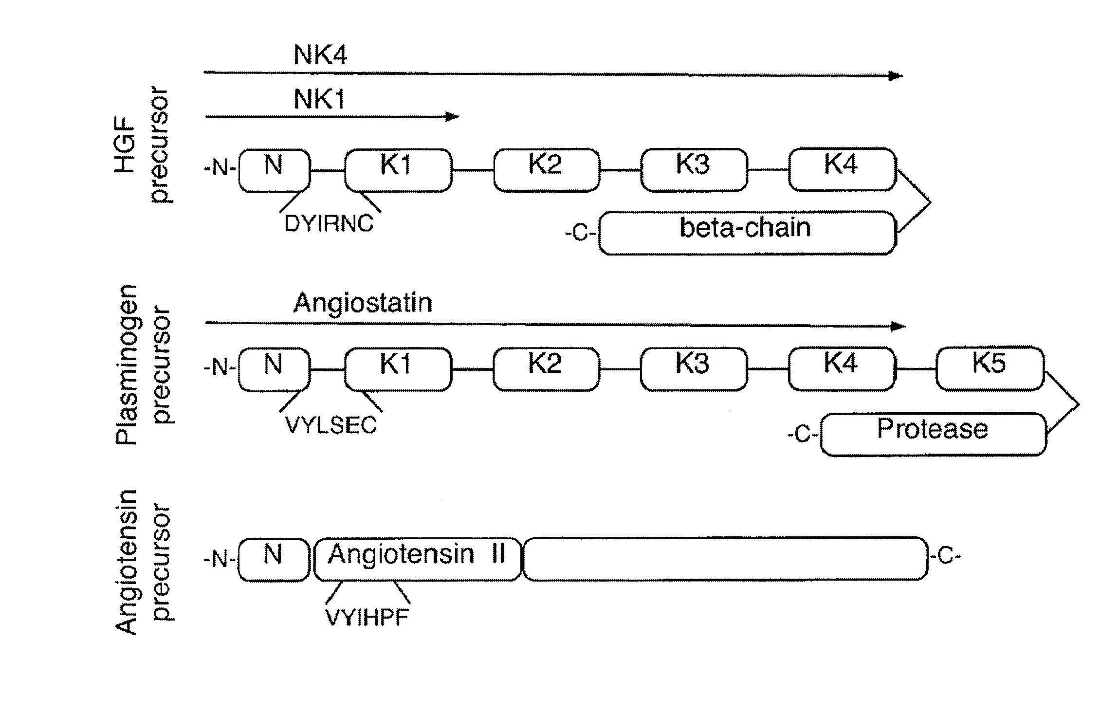 C-met receptor regulation by angiotensin iv (AT4) receptor ligands