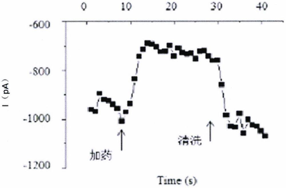 Application of plant extract in preparing medicine of naval 1.4 inhibitor