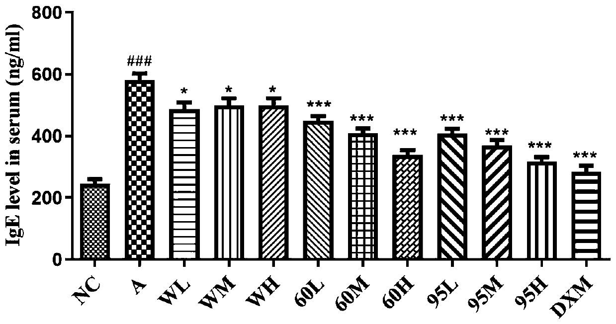 Application of gerbera piloselloides and gerbera piloselloides extract in preparation of medicine for preventing and/or treating asthma