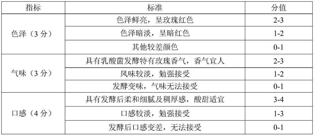 Application of a strain of Lactobacillus plantarum in the preparation of lactic acid bacteria rose flower fermented beverage